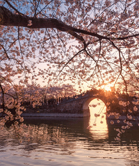 ԭ����������ô��ط������ͻ���