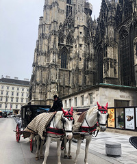 ��άҲ�ɽ�ɫ����������Ȫ��Ѱ�����繫�����㼣