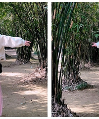 94��ͷ�MM ϲ������������� ���Ӽ���