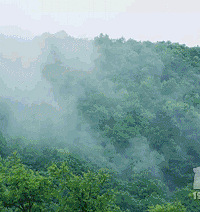 去山里喝喝茶放放风,晚上烧烧篝火看星星,真的好惬意