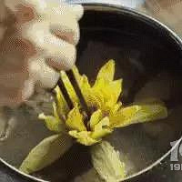 去山里喝喝茶放放风,晚上烧烧篝火看星星,真的好惬意