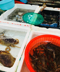 在家烧了一碗海鲜面 光浇头就花了我毛50块!!