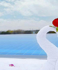 ���¶ȵ��ޱ�Ӿ�� ��TA��������Ӿ��