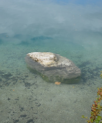 ��ͼԤ����������ȥ�˵¹����µ������ݿ�...��������