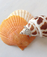 ��һ��������õ�������