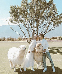 �������� ��������һֱ�����ĵط���