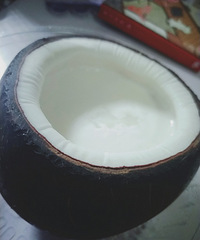 忍不住买了椰子冻 黄金椰粒超脆!浓浓的椰子味儿超好吃