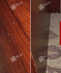 �ö��ģ�����ĳ�Ƶ���澪�ֹ�ͷ��