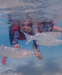 ��������Ǳ ������������ܽӴ�