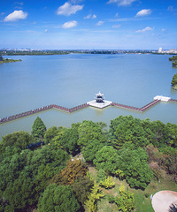 ��ҵ�"����"�������������Ա߾���2000Ķһ�ߺ���.......