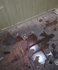 �𾪣�����һ����С����ҹ�Ͳ� ���ڵ������������£�