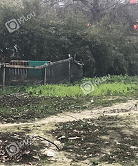 �ºӶ����ϲ��ˣ�ɶ���