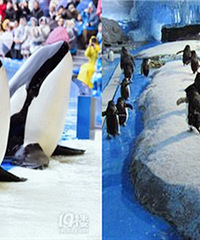 �Ϻ���������԰ �����ؼ�ĩ�೵��