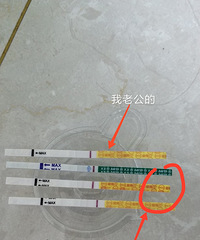 测了几次都是淡淡的两条杠后 我决定让我老公测一次...