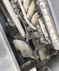 Ӹտ10 ˽һ򿪾Ȼһ