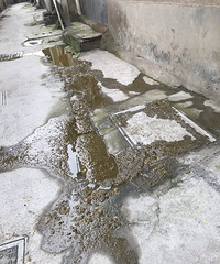 ĳضξС·γ˷ؿӣѬ죡