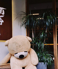 ������������һ��û���������շ���ʮ��