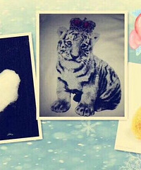 [��ף��]����������Сͼ���ף����ϻ���