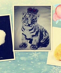 ����������Сͼ���ף������ϻ��֡���