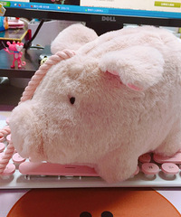 ���ȣ�����ر��ķ�ɫС����