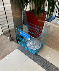 �������˳���Ĵ洦���о�����ů��