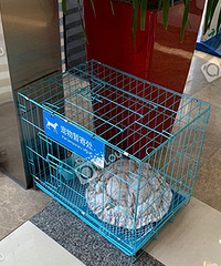 �������˳���Ĵ棡����ů��