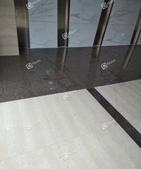 ĳߵСë¿޴ˣҰϳȥˣ