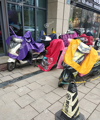 ĳߵСë¿޴ˣҰϳȥˣ