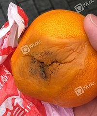 XX�ռ�������θ�ȫ����