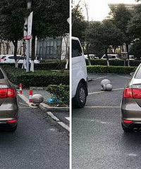 ͣ��̫ƴ�����ᳵλҲ������