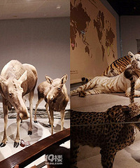 ˢ������Ȧ���������� ����걾������ ���д����