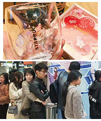 ��������������������èצ�� ��������ͣ�