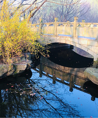 ��װ�Լ�������