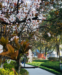 ��װ�Լ�������