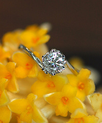 ���ֽ����Ľ��п�ʽ�������ֺ��Ѻ��� ���ϻ��и�С����