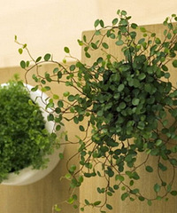 ��֪��װ������ ��ס�Ű�ȫ��