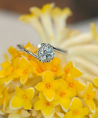 ���ֽ����Ŀ�ʽ�������ֺ��Ѻ�