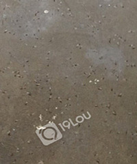 ��������ͻȻ���صķ����ϣ���ɷ�ˣ�