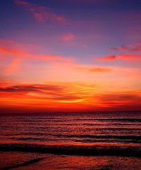 ��Ϊһ�������� �����ܴ����������������������