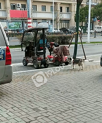 不?#25343;?#20859;狗还有理了?!嘉兴这个养狗人太霸道!扬言放狗咬死我!