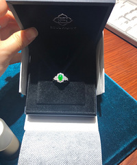 �ڴ���һ���µĽ�ָ ������ר�Ŷ��Ƶ����� ��Ư��