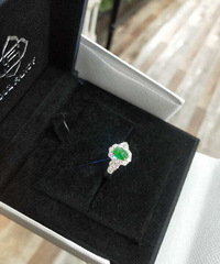 �ڴ���һ���µĽ�ָ ������ר�Ŷ��Ƶ����� ��Ư��