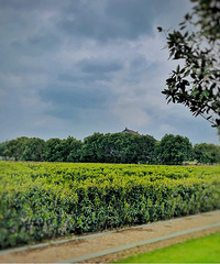 �����Ǵ���