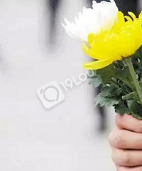 今年清明首个祭扫高峰就在这周!扫墓人数将超往年 如何避高峰?