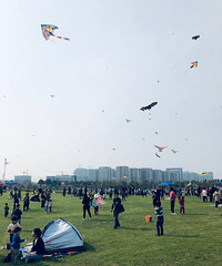 �����ʺϷŷ��ݡ�