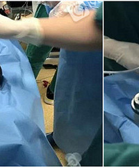 �ᱼ�������и����Σ�������Ӹ���Ҫ������