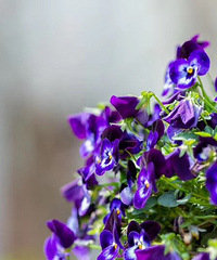 һ���������������ů�ļ��ڡ�