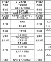 清明扫墓专线来了!公交公司开通6条扫墓临时公交专线 附换乘指南