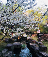 ������԰ӣ��ʢ��ʱ