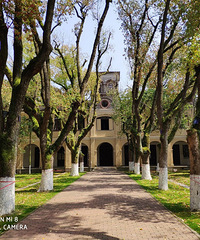 �����޵�Ժ���м���ȥ����������������